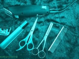 The Best Dog Grooming Tools & Supplies 9 pet grooming tools and supplies, dog grooming, pet grooming, cat grooming, how to care your pets