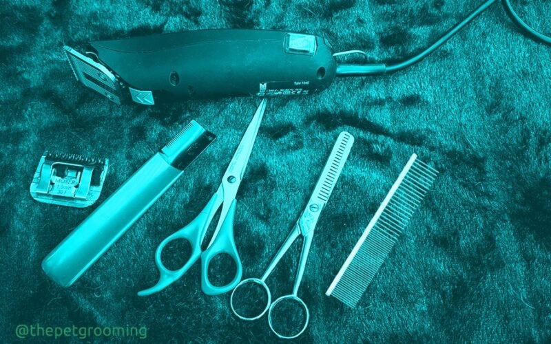 pet grooming tools and supplies, dog grooming, pet grooming, cat grooming, how to care your pets