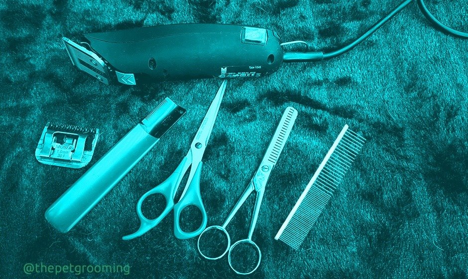 pet grooming tools and supplies, dog grooming, pet grooming, cat grooming, how to care your pets