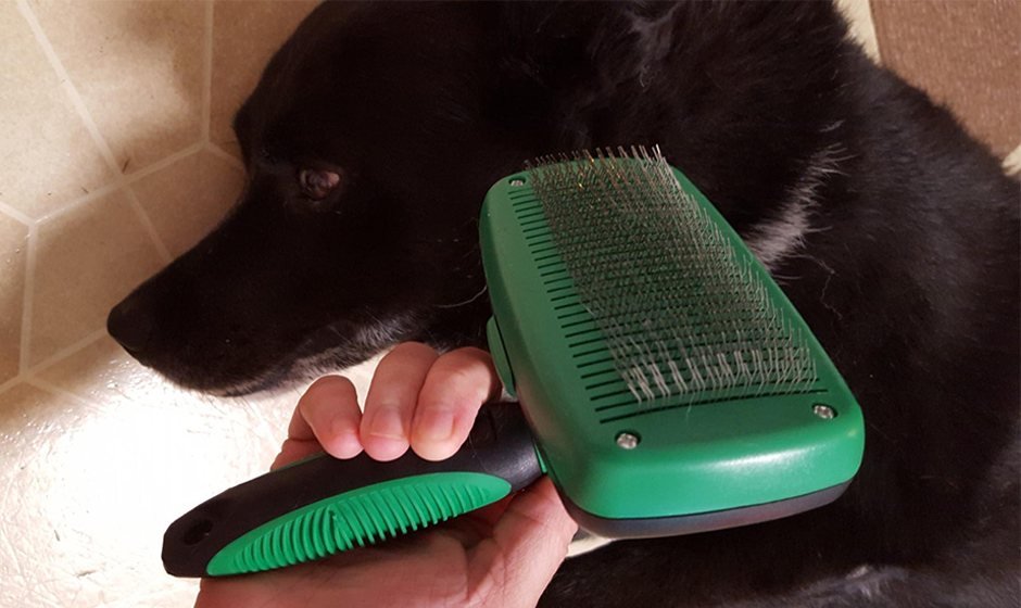 K9KONNECTION Self Cleaning Slicker Brush for Dogs and Cats