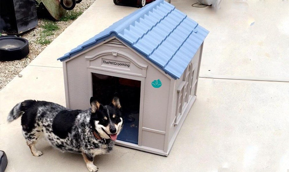 suncast dog house
