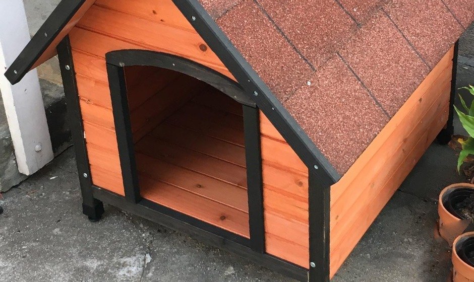 Dog House Diy
