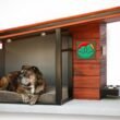 The Best Dog House for Sale 7 The Best Dog House for Sale