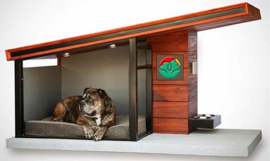 tangkula dog house