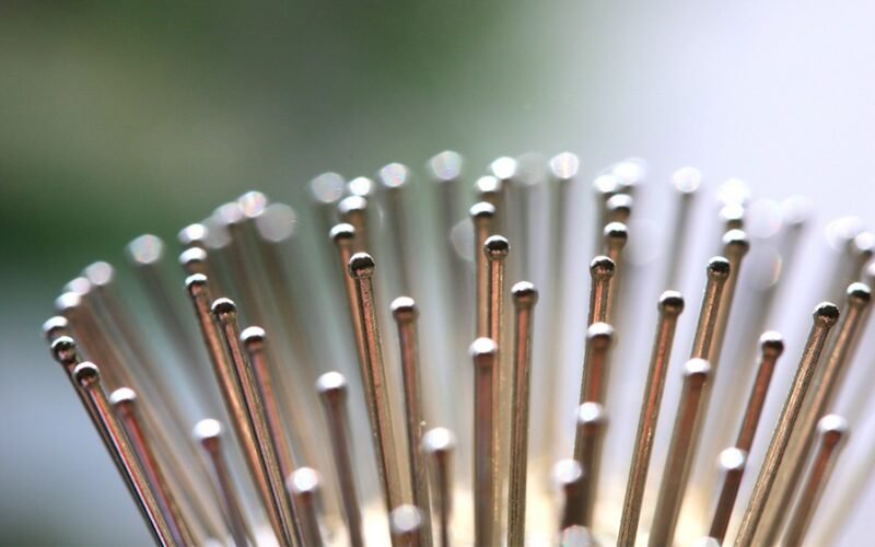 The Best Pin Brush for Dogs With Complete Guideline 5 best pin brush for dogs