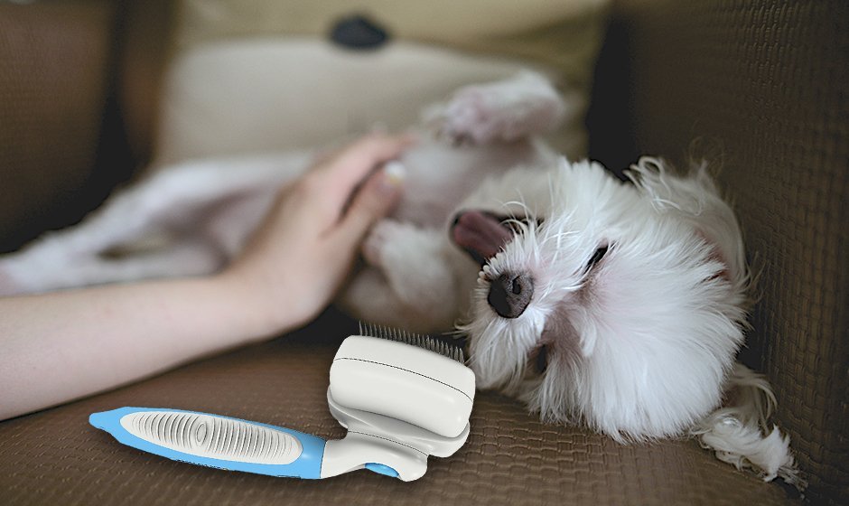 The Best Self-Cleaning Slicker Brush 7 best self-cleaning slicker