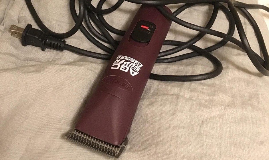 The Best Dog Hair Clippers [Electric] The Pet Grooming