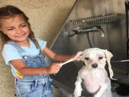 The Best Stainless Steel Dog Bathtubs 45 best stainless steel bathtub