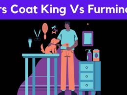Mars Coat King vs Furminator: Pick your best choice! 34 mars coat king vs furminator