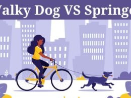 Walky Dog Vs Springer: Which one is the best for your dog? 13 walky dog vs springer