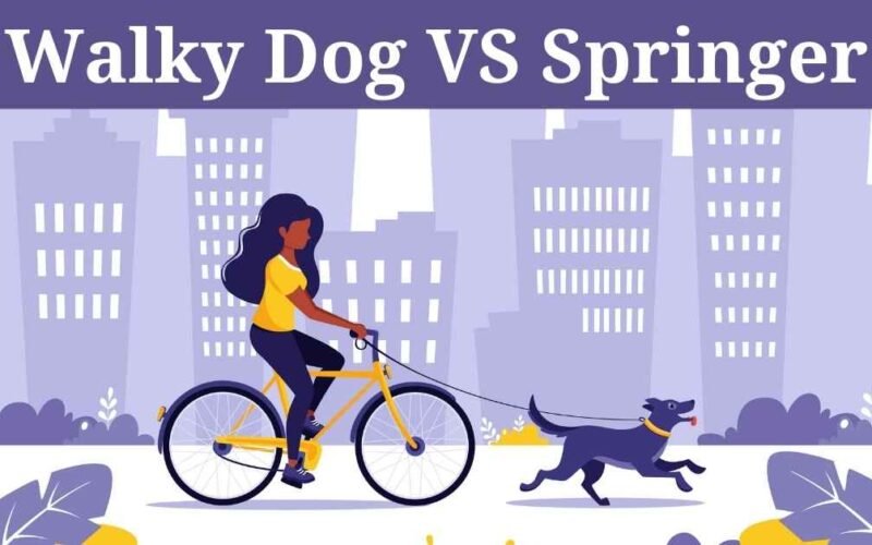 Walky Dog Vs Springer: Which one is the best for your dog? 5 walky dog vs springer