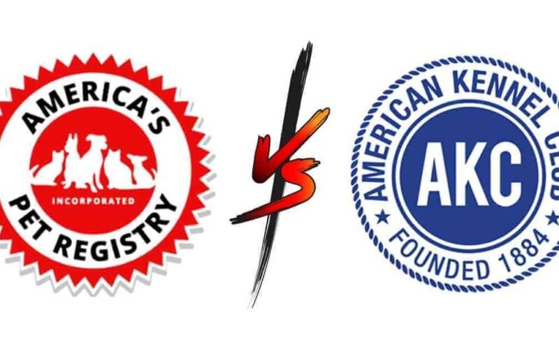 APRI Vs AKC | 5 Key Differences You Must Know 5 apri vs akc