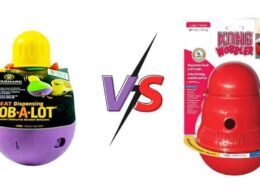 Bob A Lot vs Kong Wobbler-which is the best dog toy? 39 bob a lot vs kong wobbler