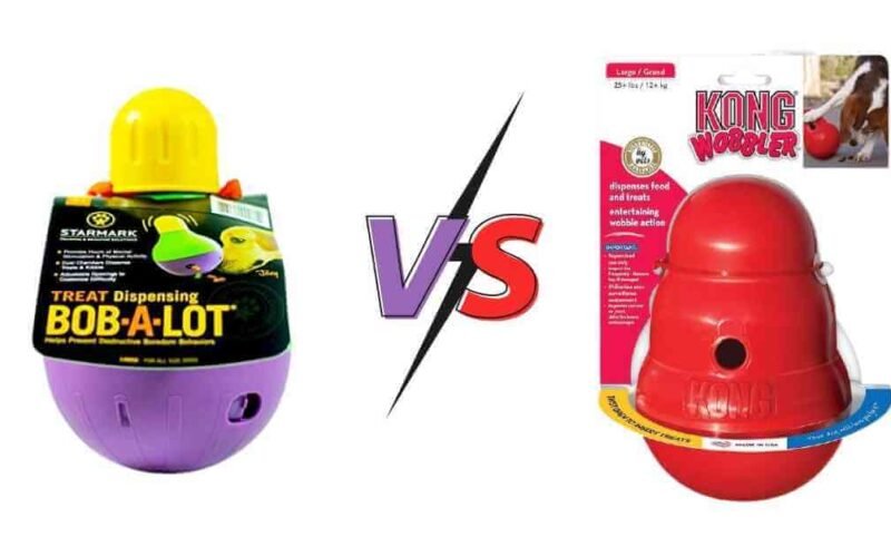 Bob A Lot vs Kong Wobbler-which is the best dog toy? 5 bob a lot vs kong wobbler