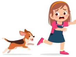 How To Deal With Puppy Mad Half Hour Biting? 55 puppy mad half hour biting