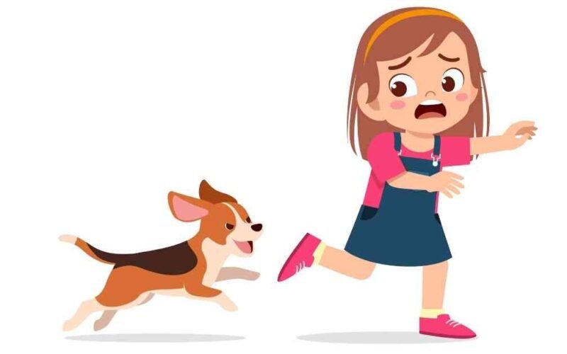 How To Deal With Puppy Mad Half Hour Biting? 5 puppy mad half hour biting