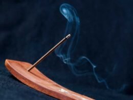 My dog ate incense | What can happen and what to do? 42 dog ate incense