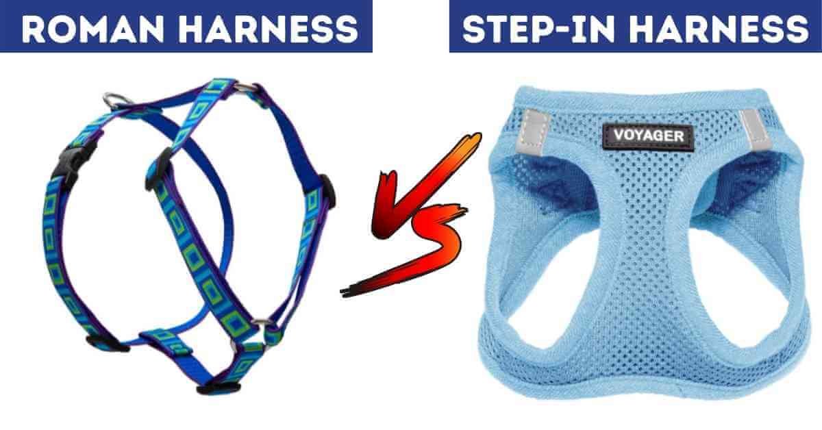 step in harness facts