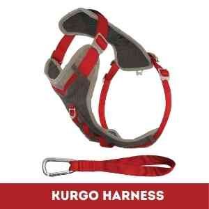ruffwear vs kurgo