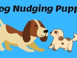 Dog Nudging Puppy With Nose-Details Explained 11 dog nudging puppy with nose