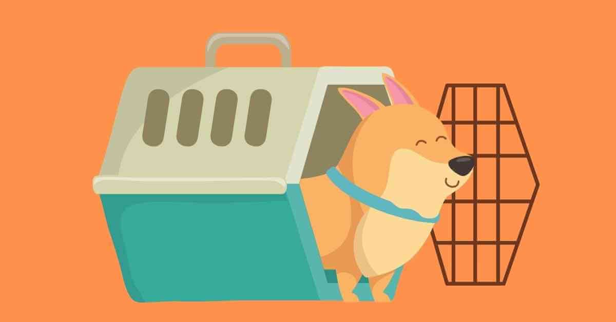 What Are The Benefits of Using a Plastic Dog Kennel? 62 benefits plastic dog kennel