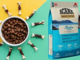 10 Best Acana Dry Dog Food in 2022 13 best acana dry dog food