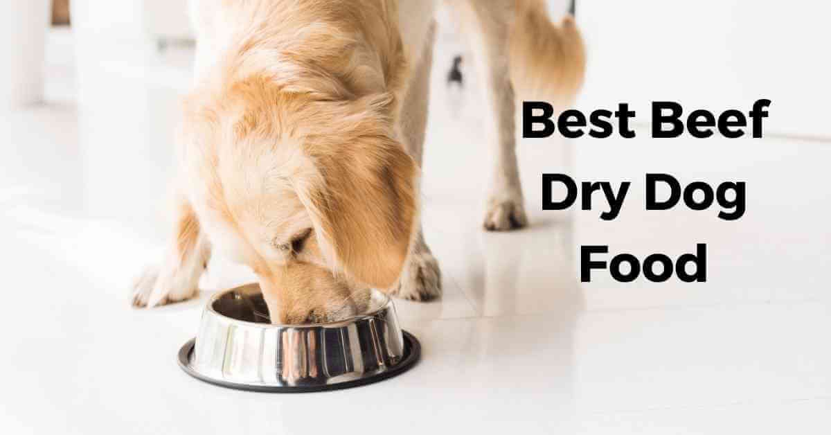 best beef dry dog food