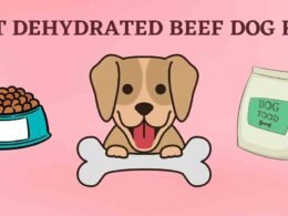 10 Best Dehydrated Beef Dog Food of 2022 29 best dehydrated beef dog food
