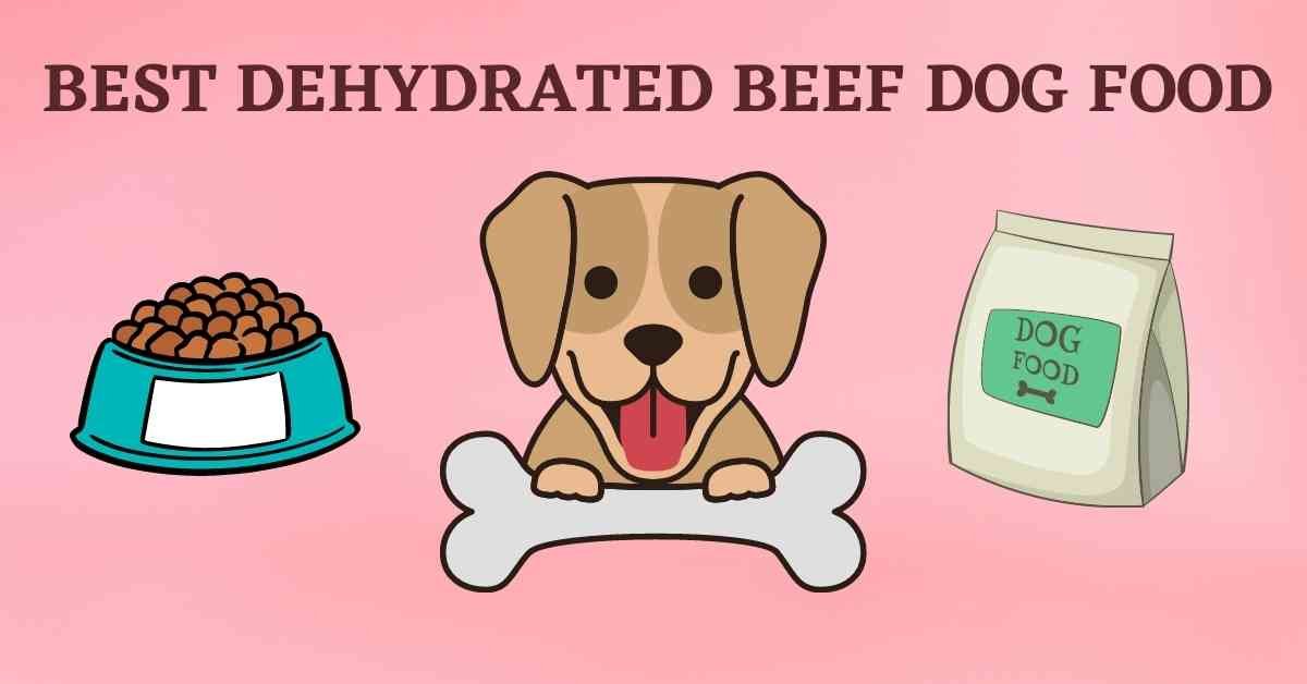 10 Best Dehydrated Beef Dog Food of 2022 128 best dehydrated beef dog food