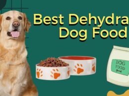 10 Best Dehydrated Dog Food 9 best dehydrated dog food