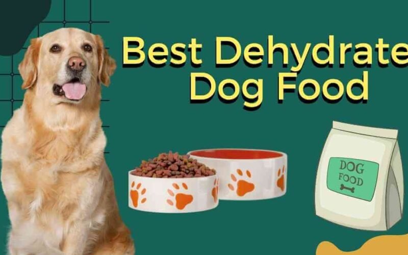10 Best Dehydrated Dog Food 5 best dehydrated dog food
