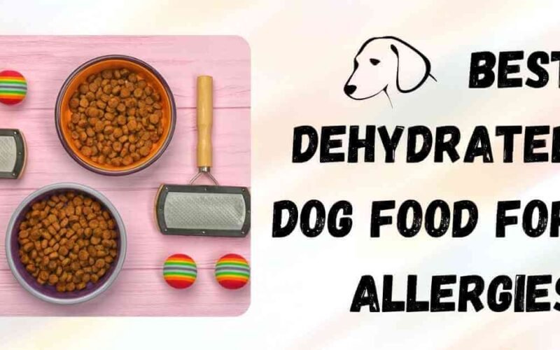 10 Best Dehydrated Dog Food For Allergies in 2022 5 best dehydrated dog food for allergies