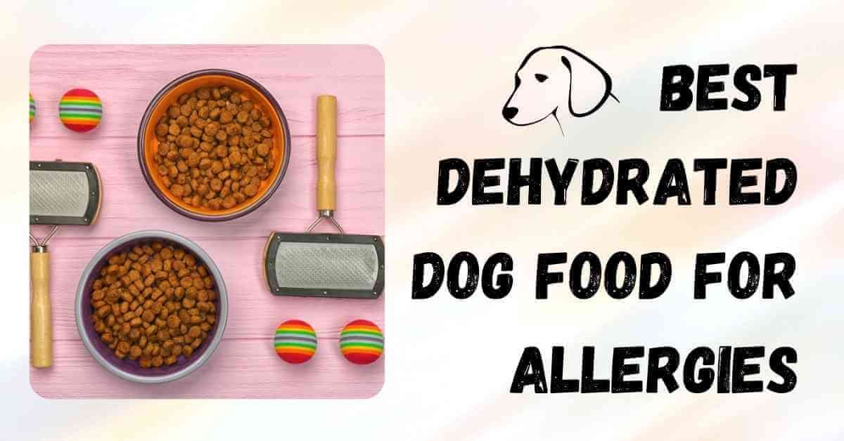 best dehydrated dog food for allergies
