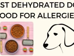 10 Best Dehydrated Dog Food For Sensitive Stomach 20 best dehydrated dog food for sensitive stomach