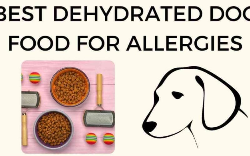 10 Best Dehydrated Dog Food For Sensitive Stomach 5 best dehydrated dog food for sensitive stomach