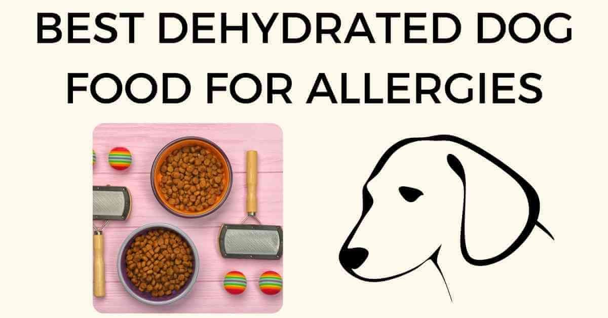 best dehydrated dog food for sensitive stomach