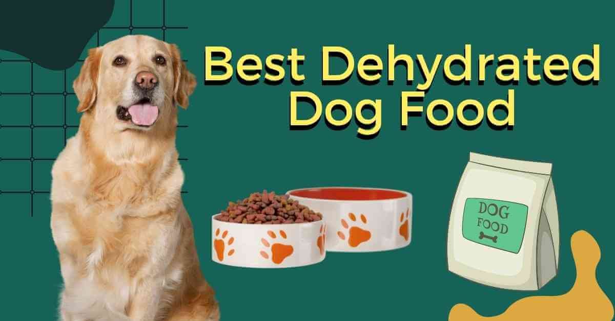 best dehydrated dog food