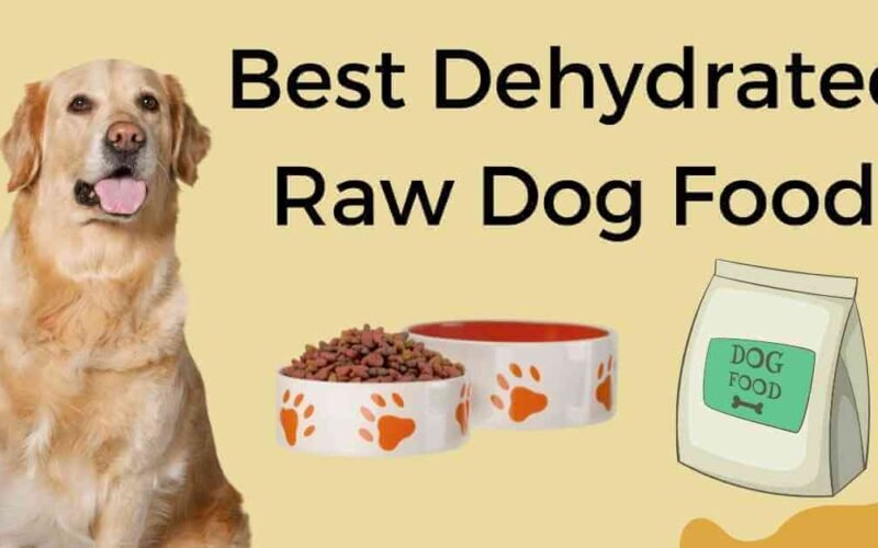 10 Best Dehydrated Raw Dog Food You Should Give to Your Dog 5 best dehydrated raw dog food