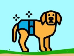 The Best Disposable Dog Diapers 8 best disposable dog diapers