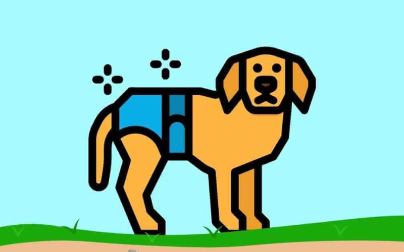 The Best Disposable Dog Diapers 5 best disposable dog diapers