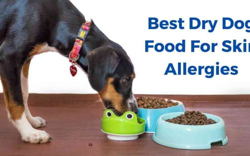 10 Best Dry Dog Food For Skin Allergies in 2022 5 best dry dog food for skin allergies