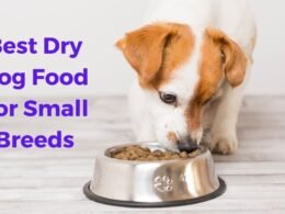 10 Best Dry Dog Food For Small Breeds in 2022 18 best dry dog food for small breeds