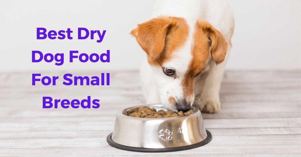 10 Best Dry Dog Food For Small Breeds in 2022 69 best dry dog food for small breeds