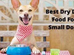 10 Best Dry Dog Food For Small Dogs in 2022 28 best dry dog food for small dogs