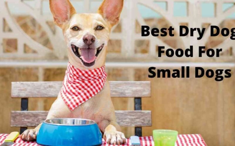 10 Best Dry Dog Food For Small Dogs in 2022 5 best dry dog food for small dogs