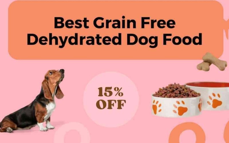 The Best Grain Free Dehydrated Dog Food 5 best grain free dehydrated dog food