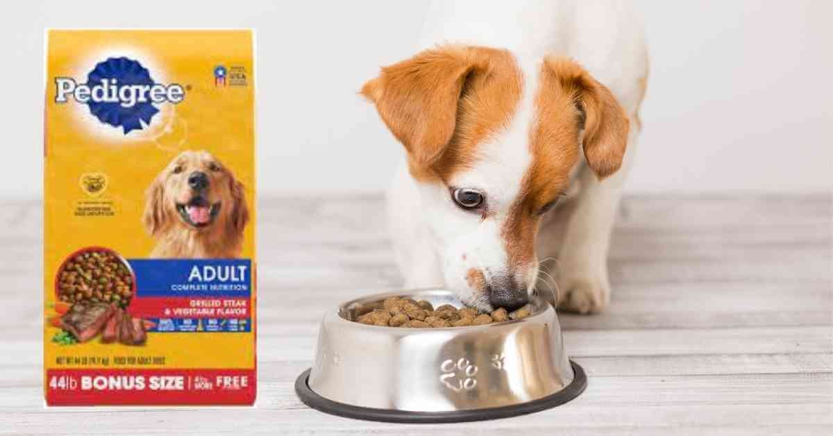 best pedigree dry dog food