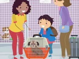 Top 10 Best Plastic Dog Kennel 9 best plastic dog kennel