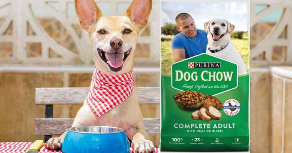 10 Best Purina Dry Dog Food in 2022 124 best purina dry dog food