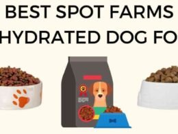 The Best Spot Farms Dehydrated Dog Food 75 best spot farms dehydrated dog food